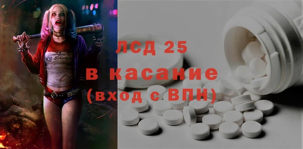 ГАЛЛЮЦИНОГЕННЫЕ ГРИБЫ Алзамай