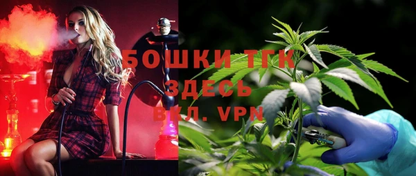 ГАЛЛЮЦИНОГЕННЫЕ ГРИБЫ Алзамай
