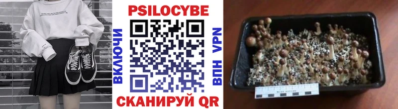 Галлюциногенные грибы мухоморы  где купить наркоту  Белоярский 